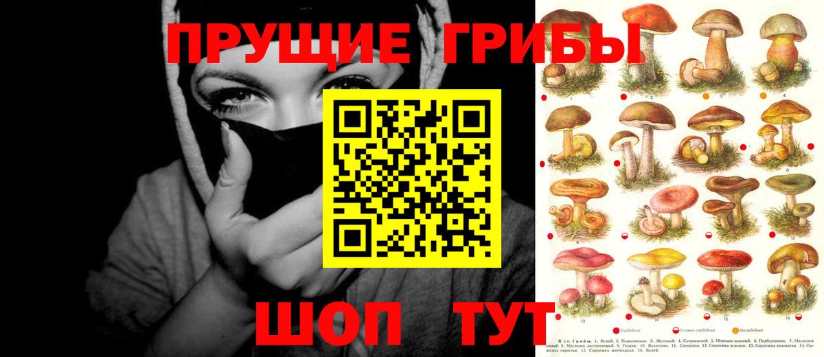 Псилоцибиновые грибы Magic Shrooms Малоярославец